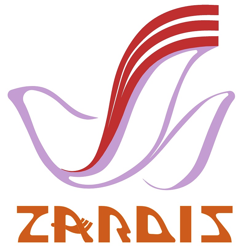 Introduction - Zardis Logo - English